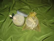 Body Scrub